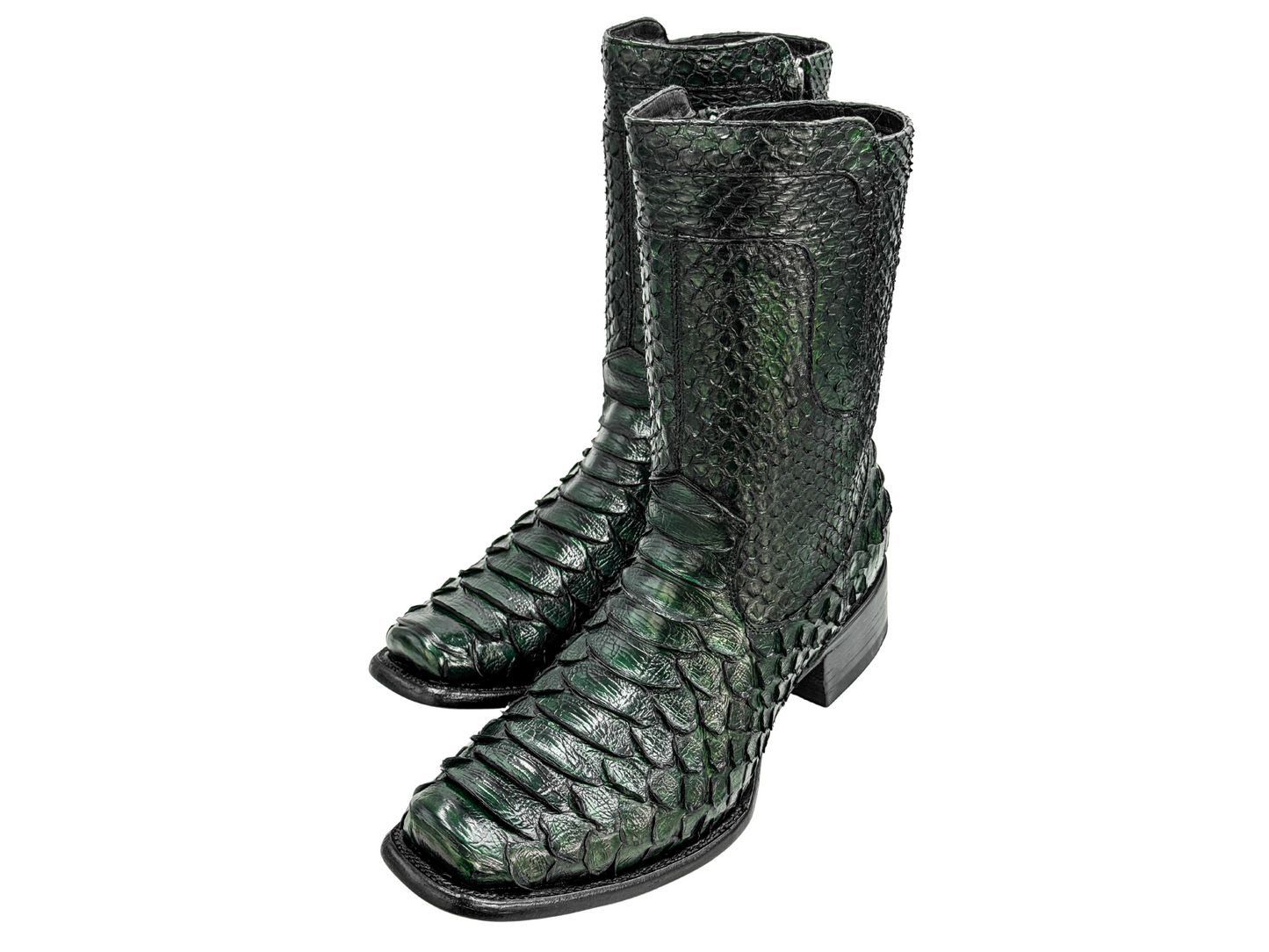 FULL PYTHON DALLAS