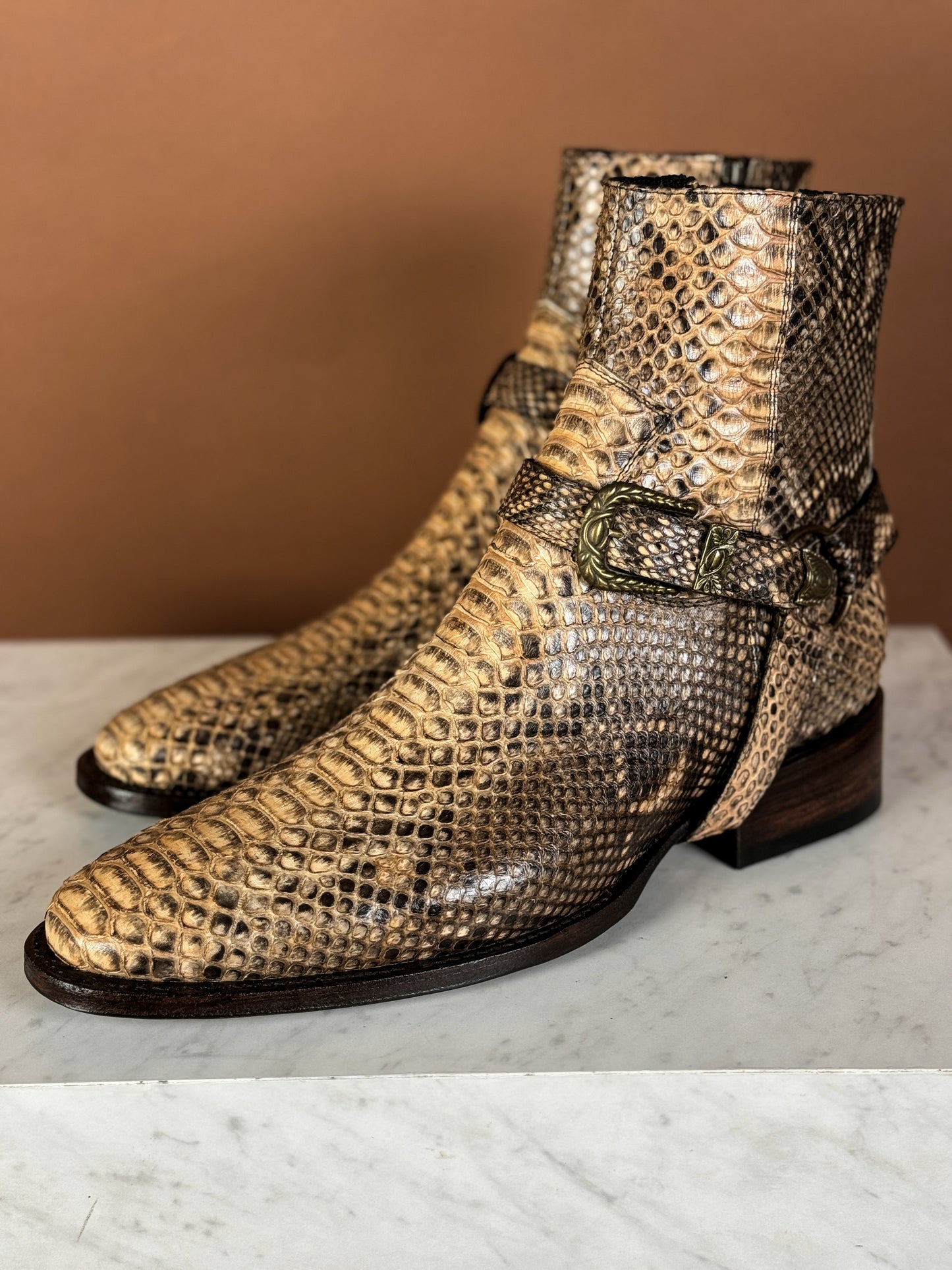 LIGHT BROWN PYTHON DENVER