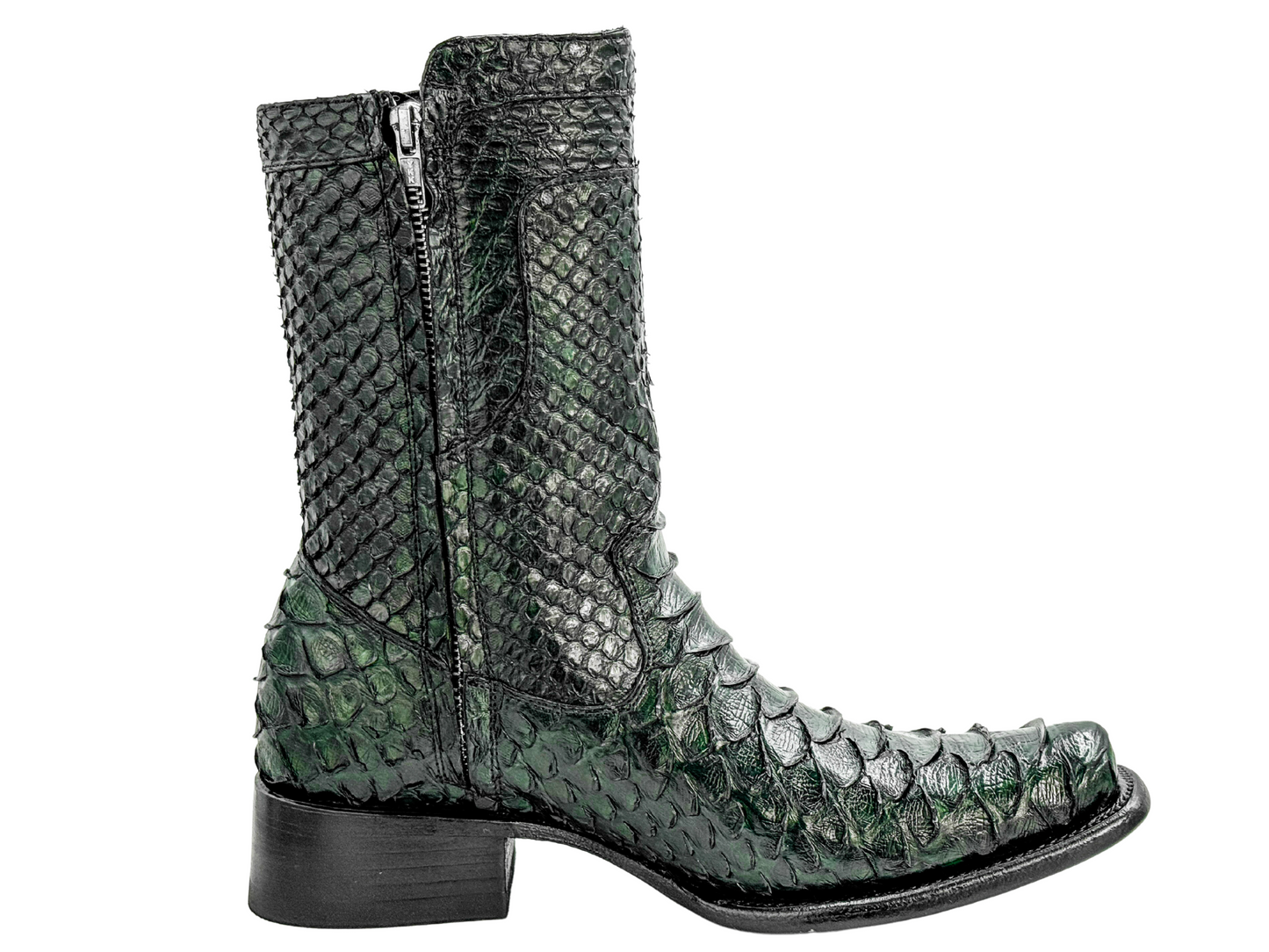 FULL PYTHON DALLAS