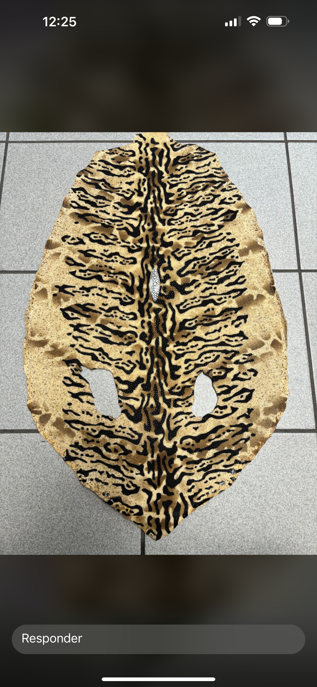 BLACK STINGRAY DALLAS