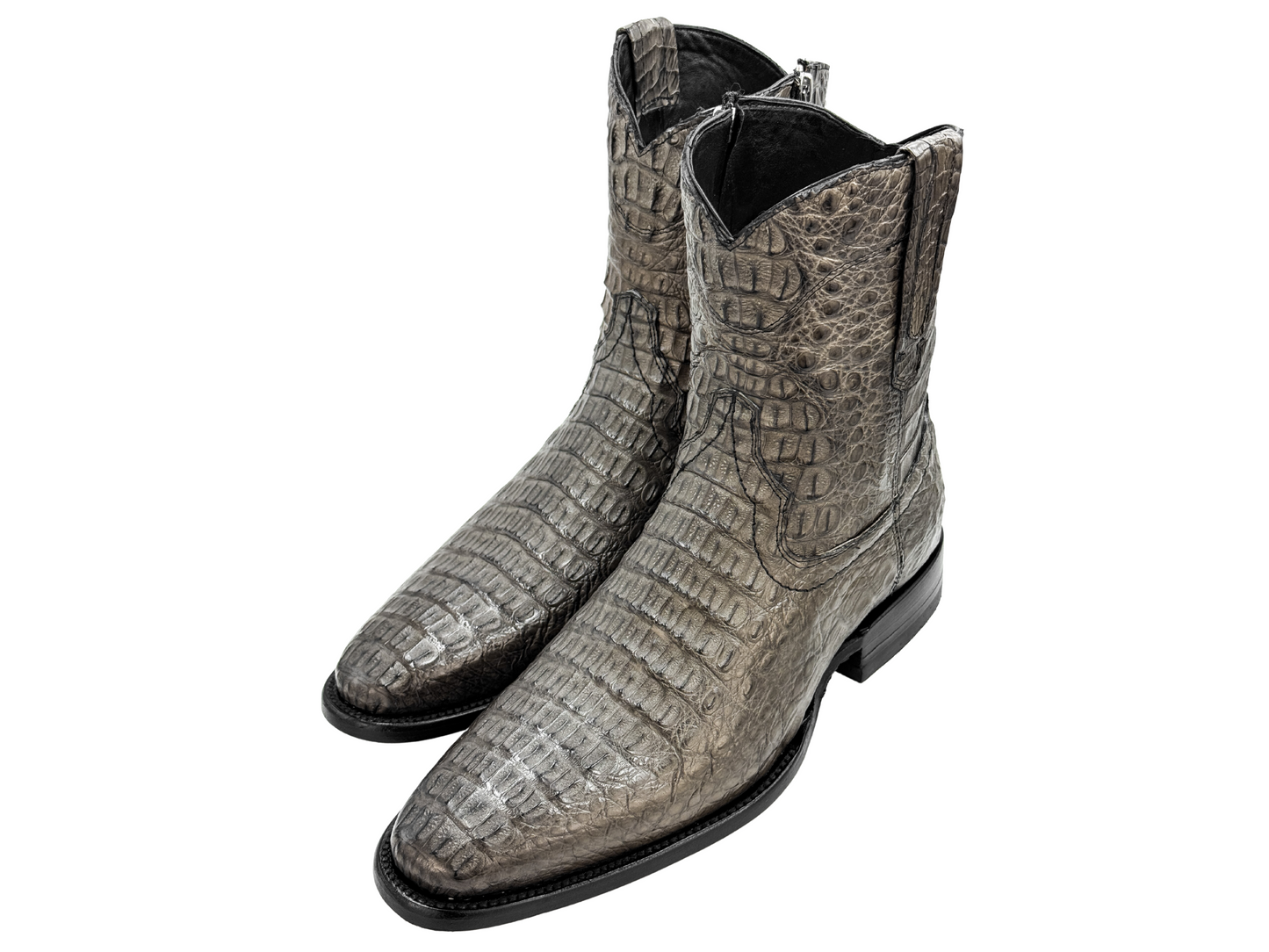 GREY CROCODILE WESTERN