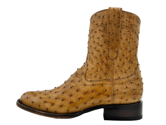 HONEY OSTRICH WESTERN