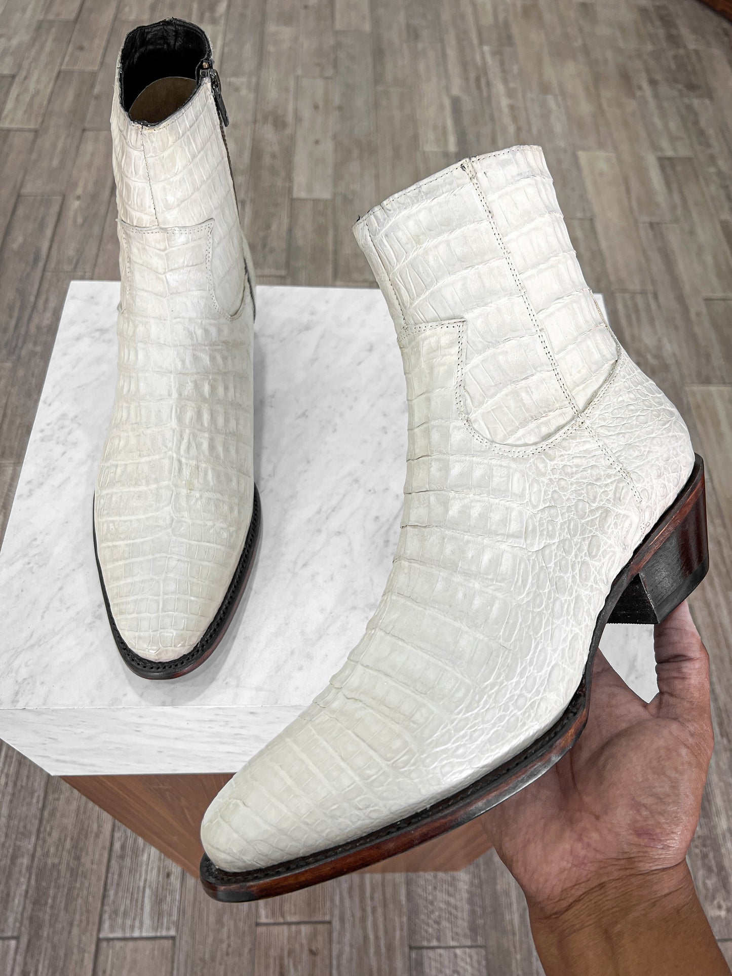 CREAM CROCODILE LISBON