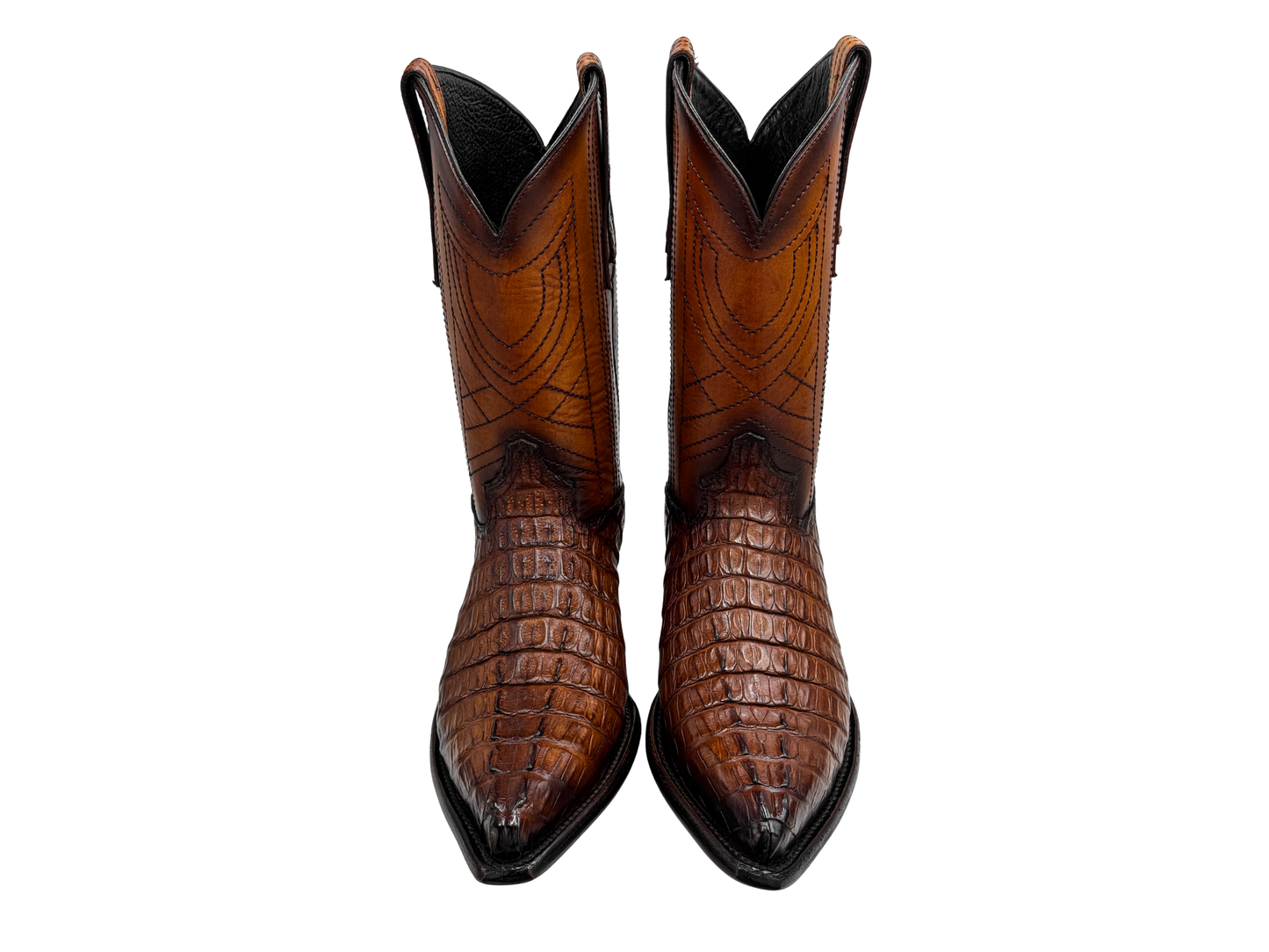 WESTERN MIEL COLA COCODRILO