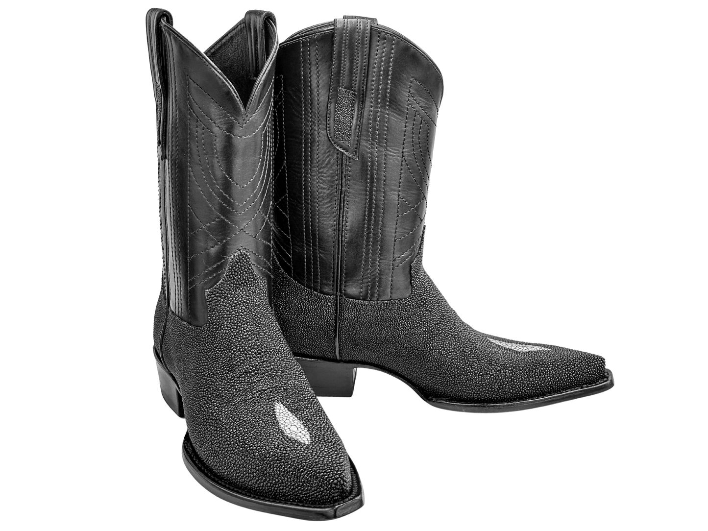 BLACK STINGRAY WESTERN