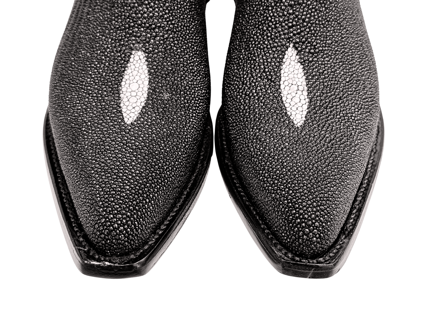 STINGRAY MALE WESTERN