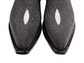 STINGRAY MALE WESTERN