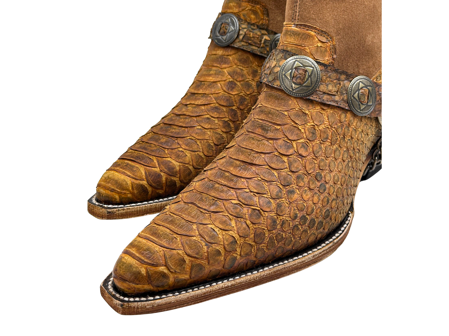 WESTERN PITÓN MIEL NOBUCK