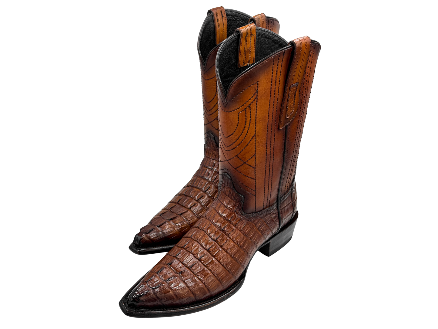 WESTERN MIEL COLA COCODRILO