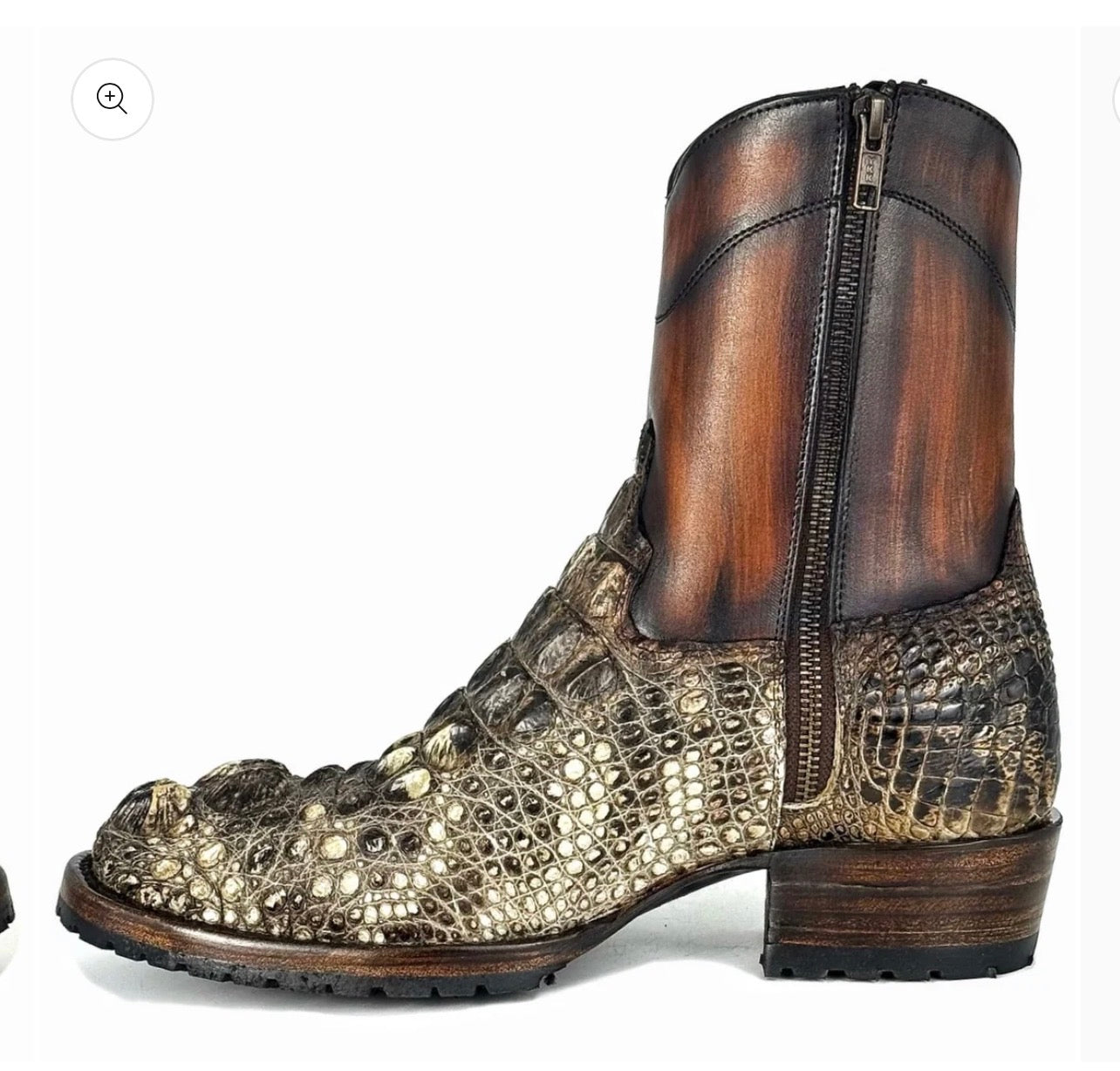WESTERN NUCA ALLIGATOR