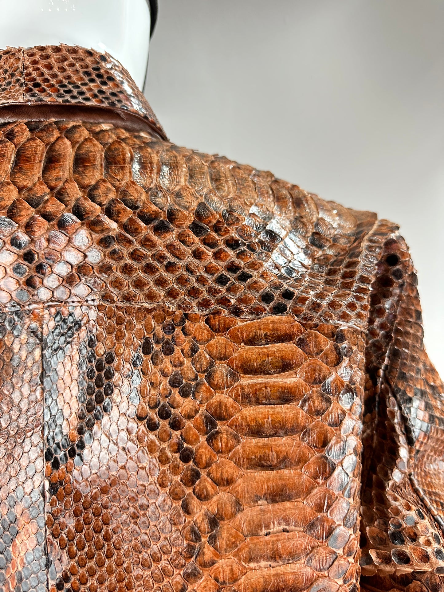BROWN PYTHON JACKET JUMBO