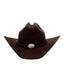 BROWN WESTERN HAT